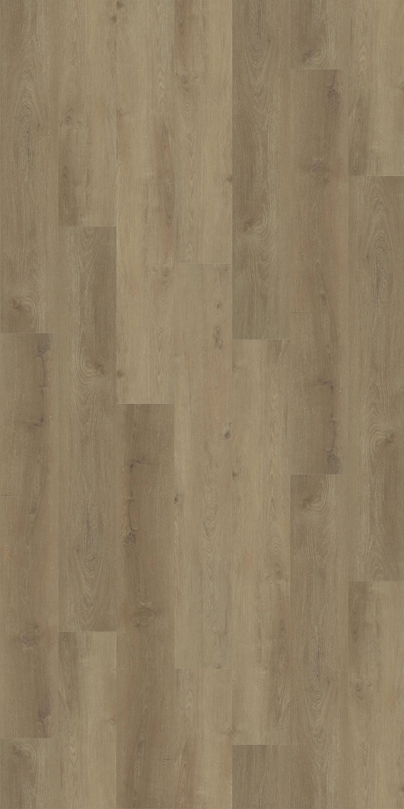Madison - vertical view