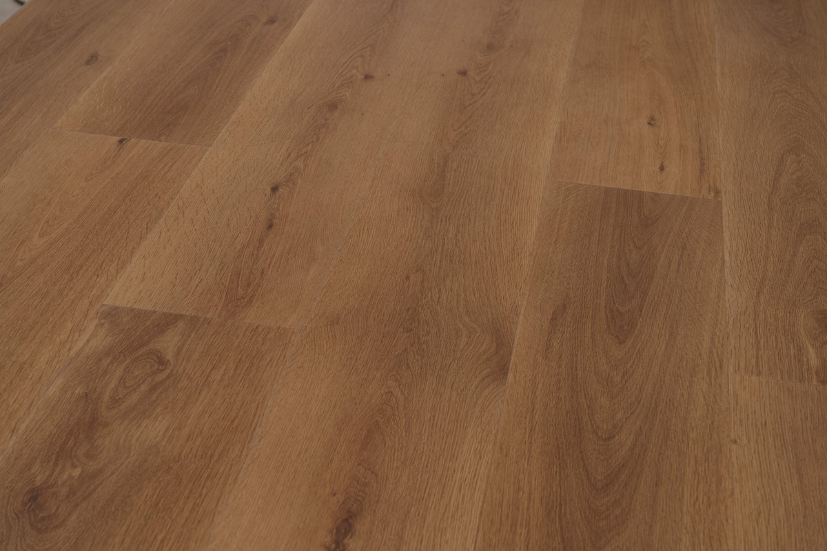 Cognac - angle view
