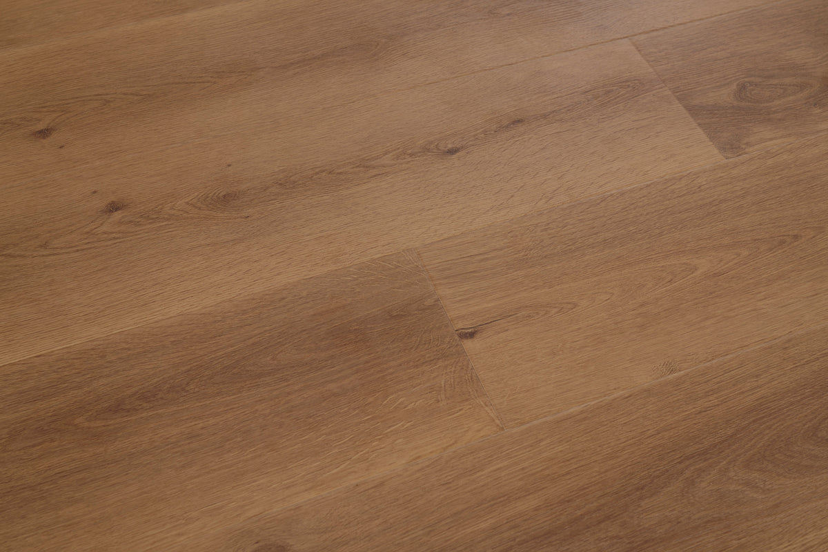 Cognac - angle view 3