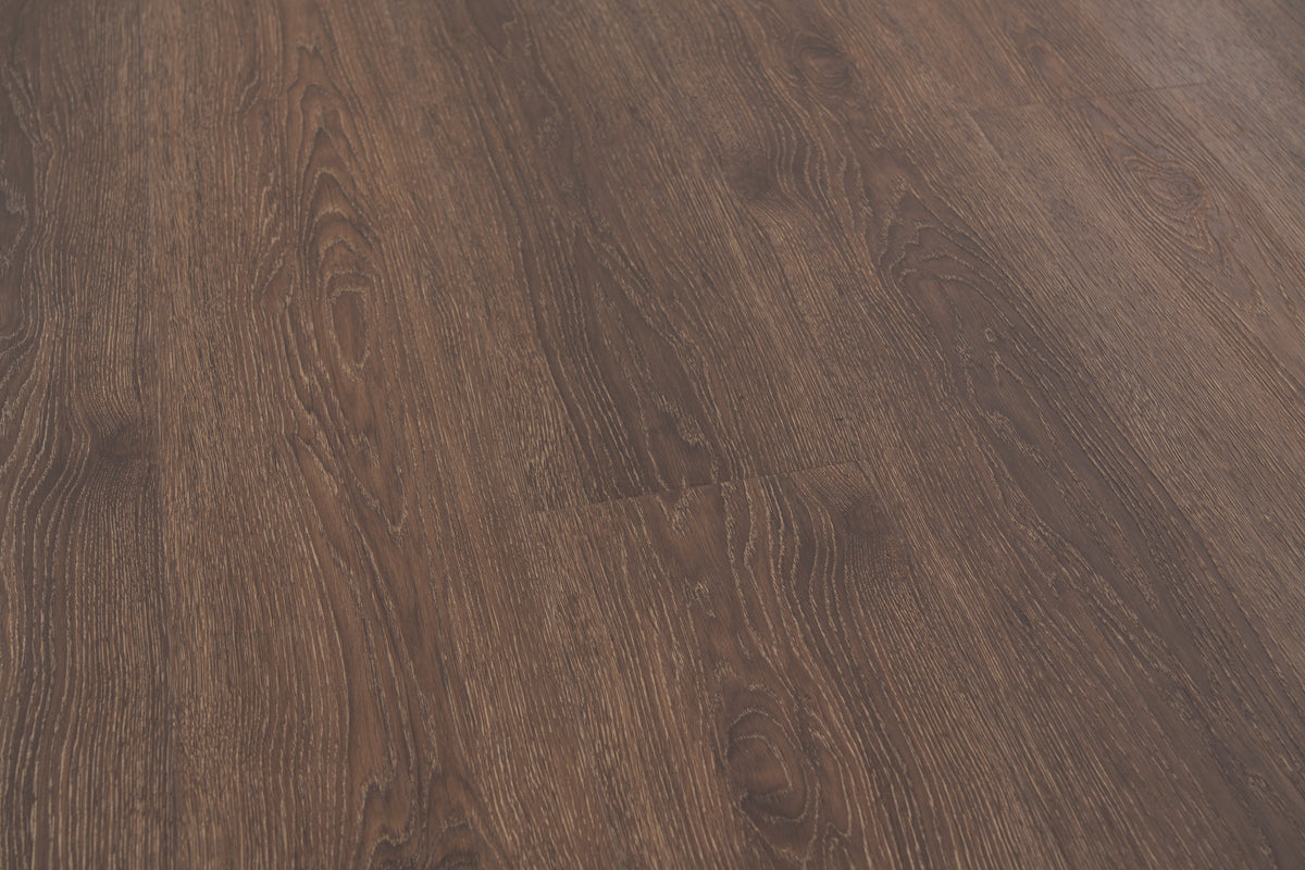 Chestnut - angle view 3
