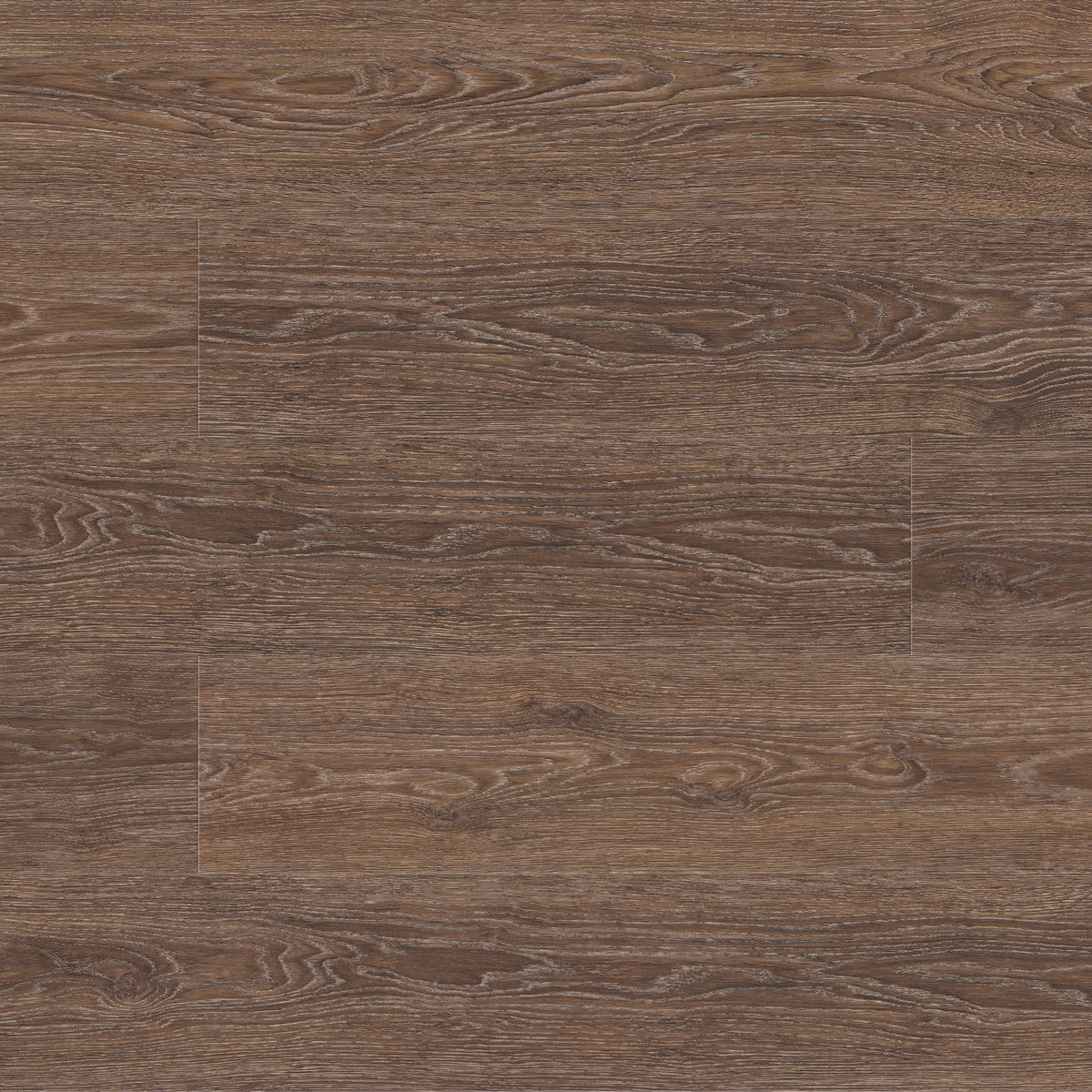 Chestnut - main product photo