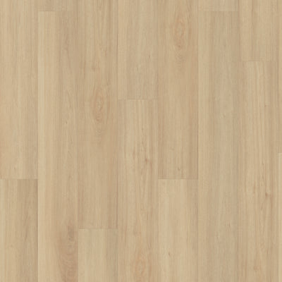 Dixon Sample