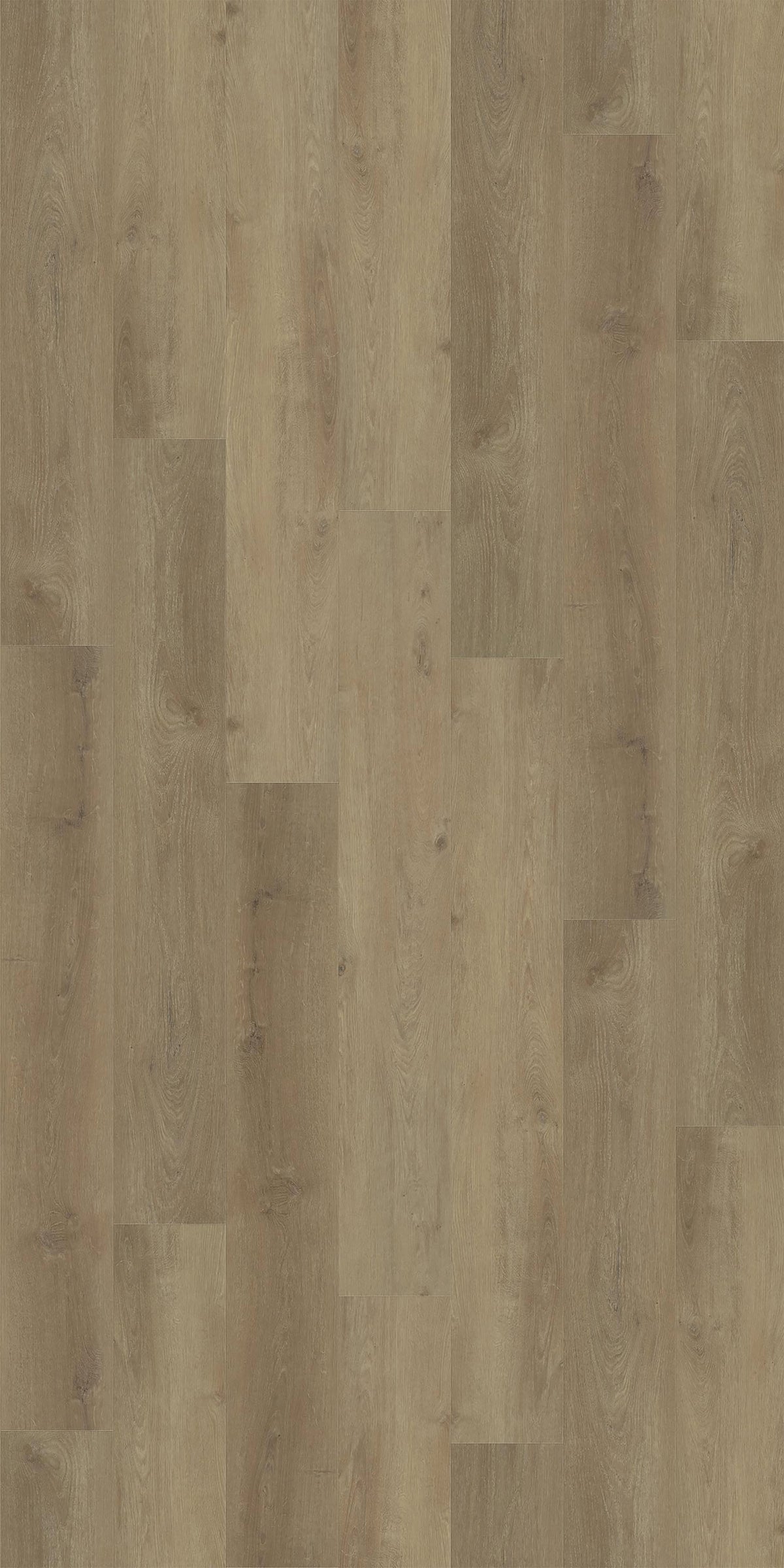 Madison - vertical view