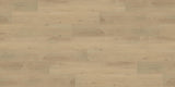 Berne - horizontal view
