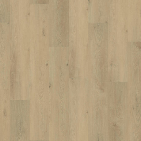 Berne - main product photo