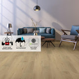 Berne - room scene with feature icons