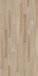 Bodega - vertical view