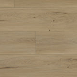 E21061MAIN3526.jpg