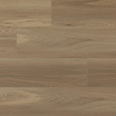 Buff Sample
