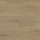 E21071MAIN3226.jpg