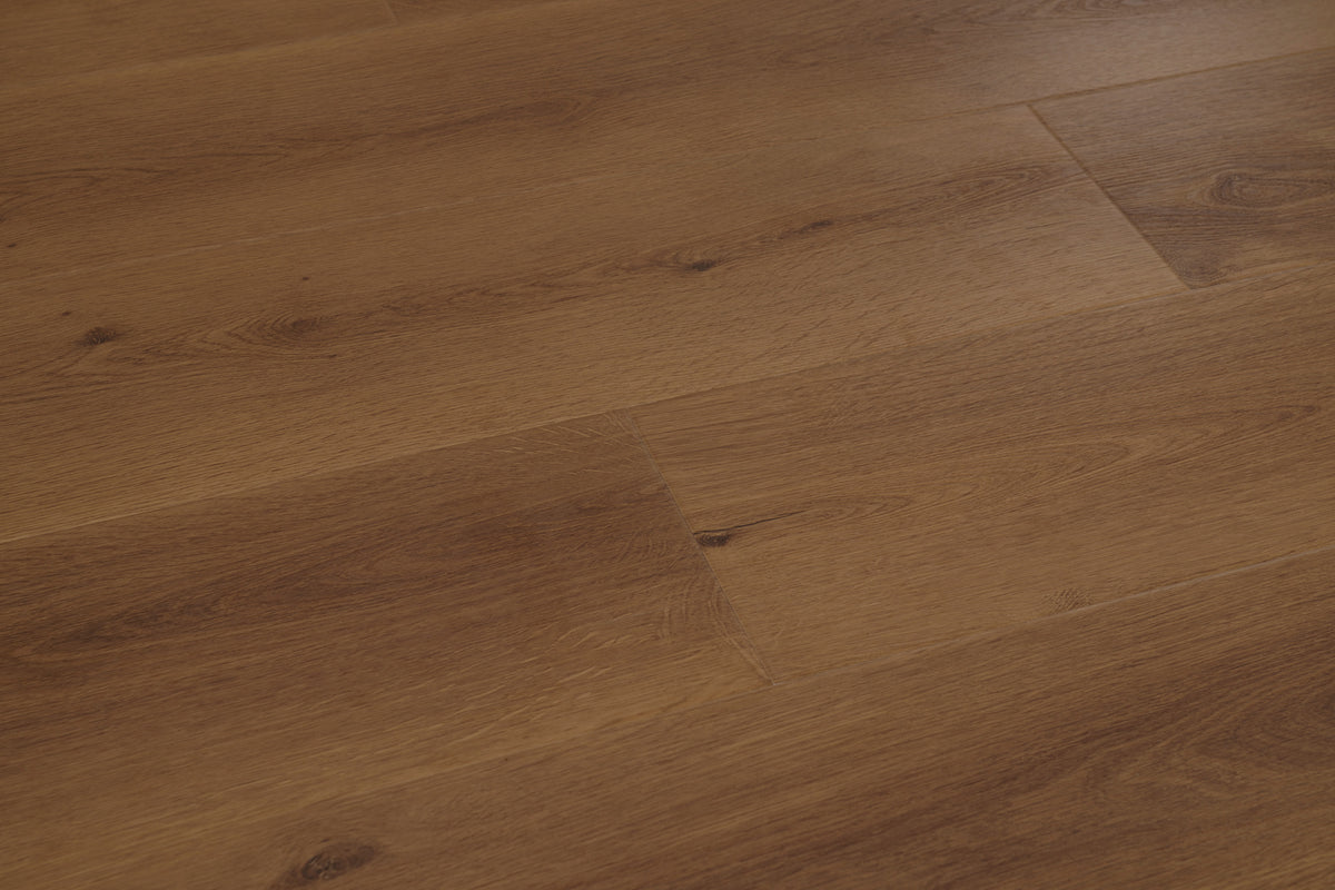 Cognac - angle view 2