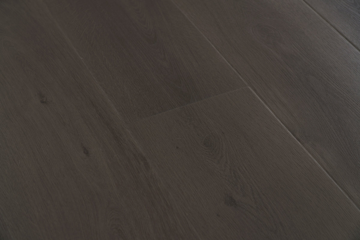 Anthracite - close-up angle view