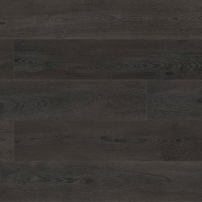 Anthracite Sample