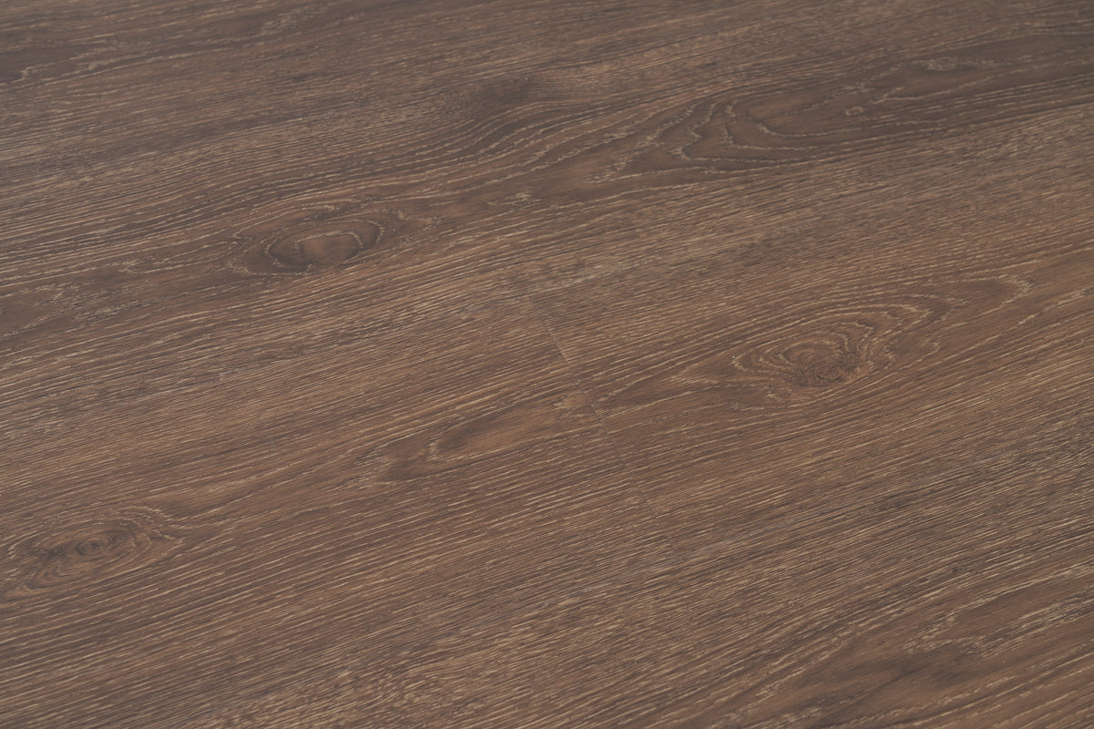 Chestnut - angle view 2
