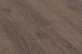 Chestnut - close-up angle view