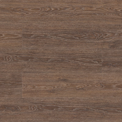 Chestnut Sample