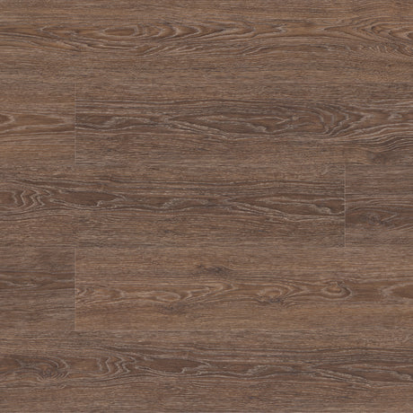 Chestnut - main product photo