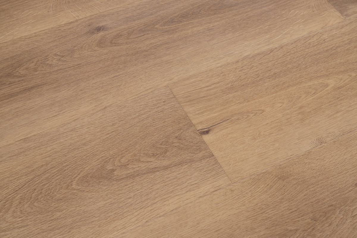 Palomino - angle view