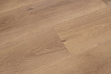 Palomino - angle view
