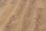 Palomino - angle view 2