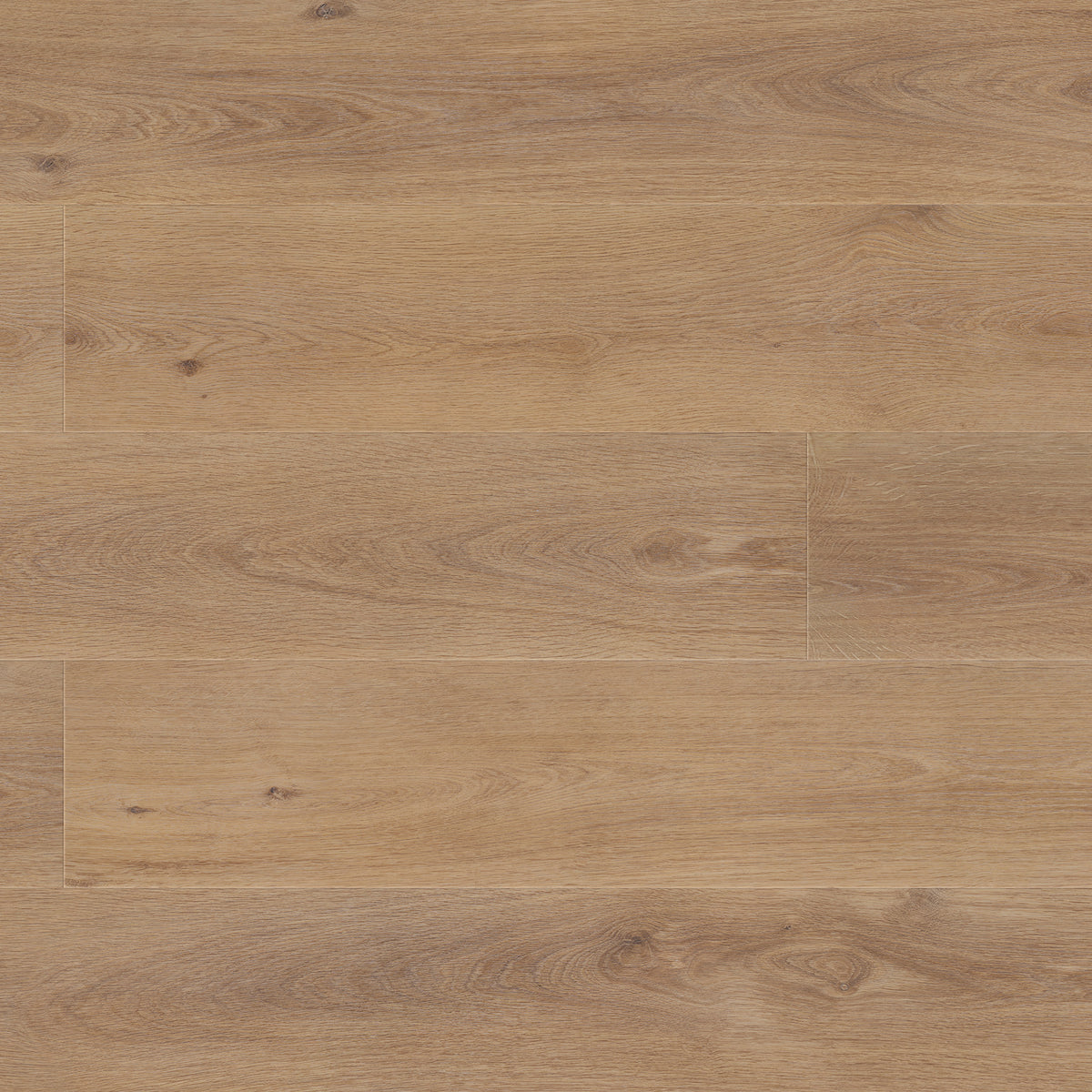 Palomino - main product photo