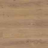 Palomino - main product photo