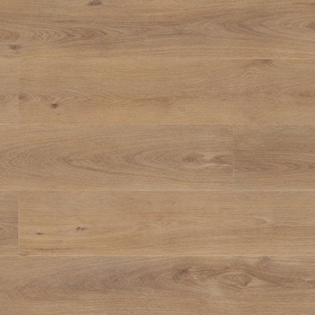Palomino - main product photo