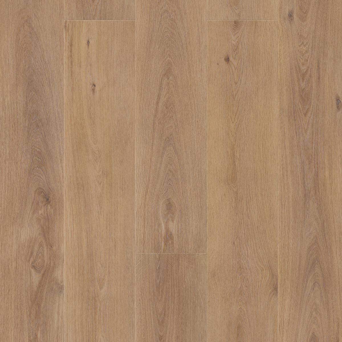 Palomino - plank surface, vertical view