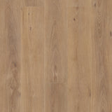 Palomino - plank surface, vertical view