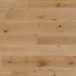PHXCF205MAIN103025.jpg