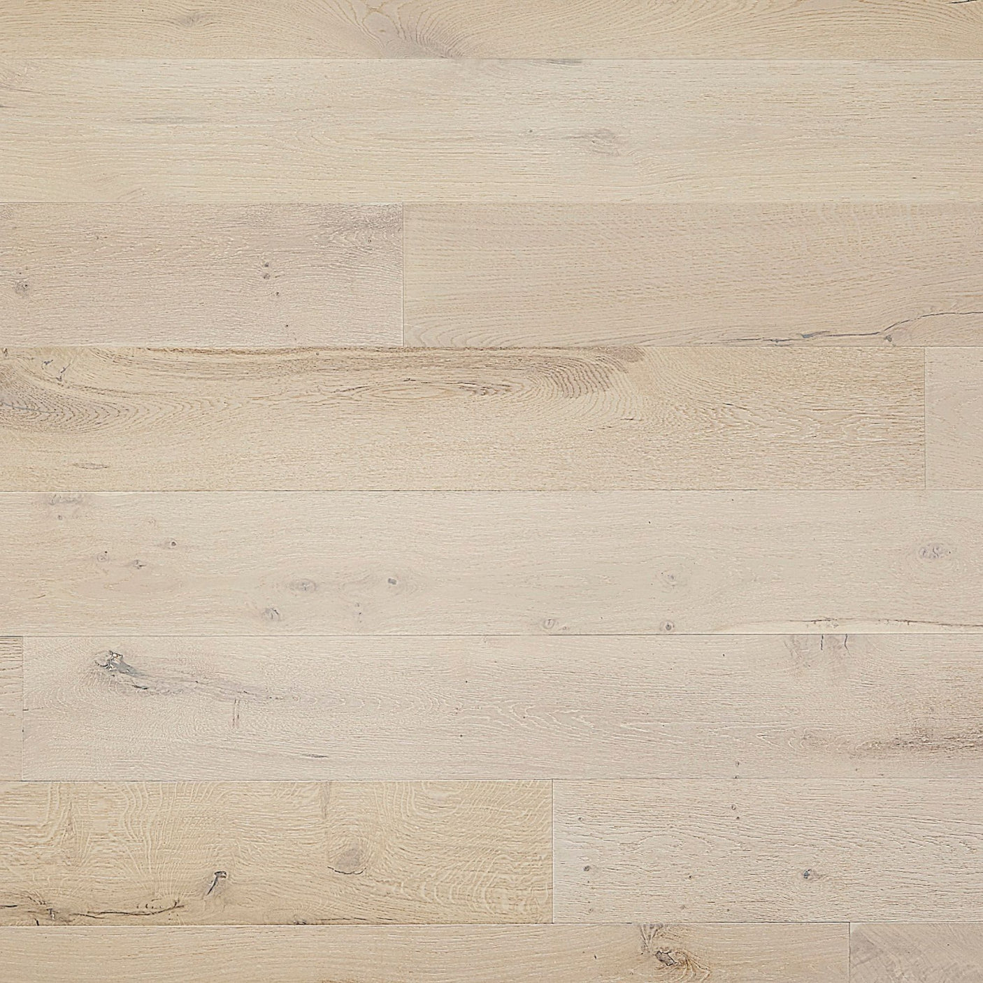 PHXCF207MAIN102025.jpg