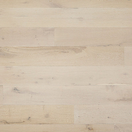 PHXCF207MAIN102025.jpg
