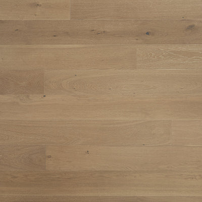 Gladiator Sample