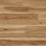 PHXCF212-Main.jpg