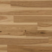 PHXCF213-Main.jpg