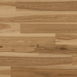 PHXCF213-Main.jpg